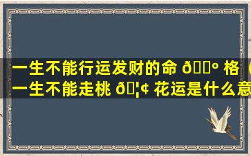 一生不能行运发财的命 🐺 格（一生不能走桃 🦢 花运是什么意思）